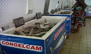 Poisson : La rareté de certaines espèces sur le marché